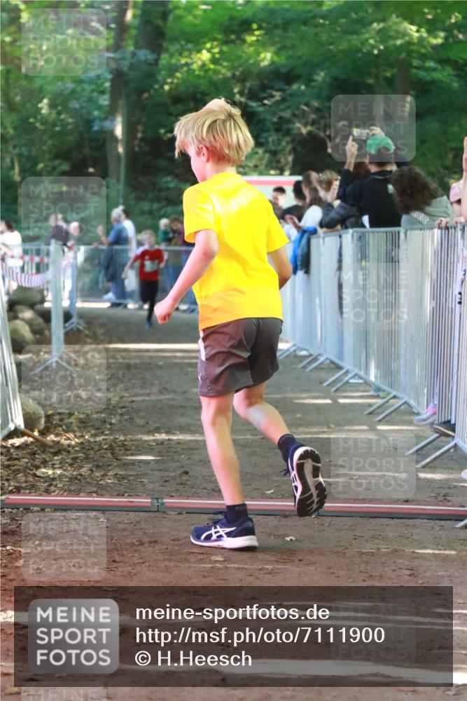 22.09.2024 - 32. Volkslauf durch das schöne Alstertal H.Heesch http://msf.ph/oto/7111900 22.09.2024 10:55:27 Ziel 4045, 4105, 4126, 4139 meine-sportfotos.de