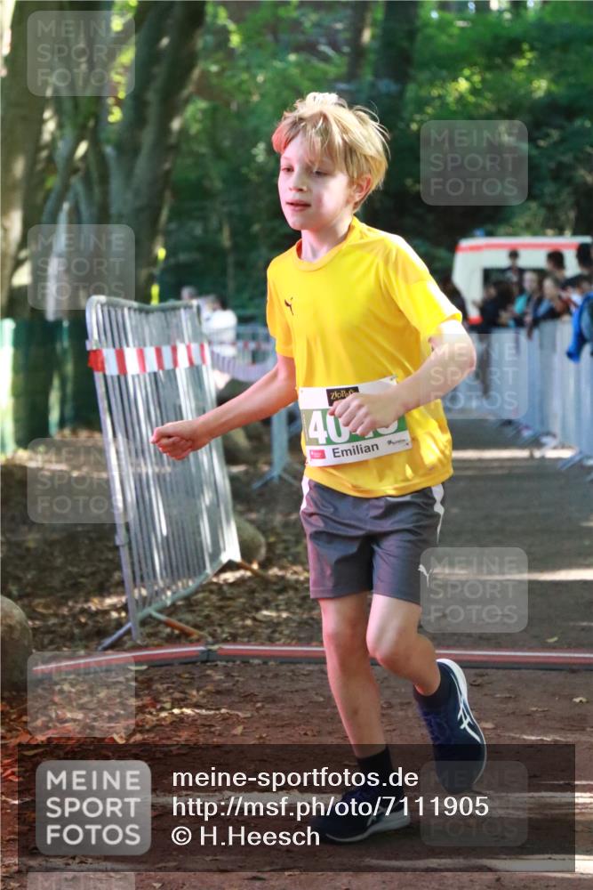 22.09.2024 - 32. Volkslauf durch das schöne Alstertal H.Heesch http://msf.ph/oto/7111905 22.09.2024 10:55:28 Ziel 4045, 4105, 4126, 4139 meine-sportfotos.de