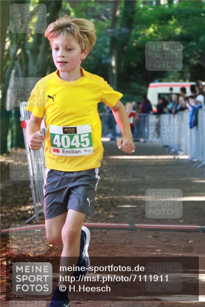 22.09.2024 - 32. Volkslauf durch das schöne Alstertal H.Heesch http://msf.ph/oto/7111911 22.09.2024 10:55:29 Ziel 4045, 4105 meine-sportfotos.de