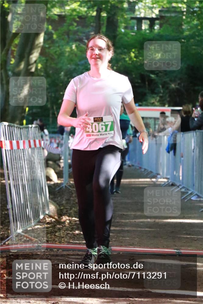 22.09.2024 - 32. Volkslauf durch das schöne Alstertal H.Heesch http://msf.ph/oto/7113291 22.09.2024 10:59:08 Ziel 4067, 4068, 4089 meine-sportfotos.de