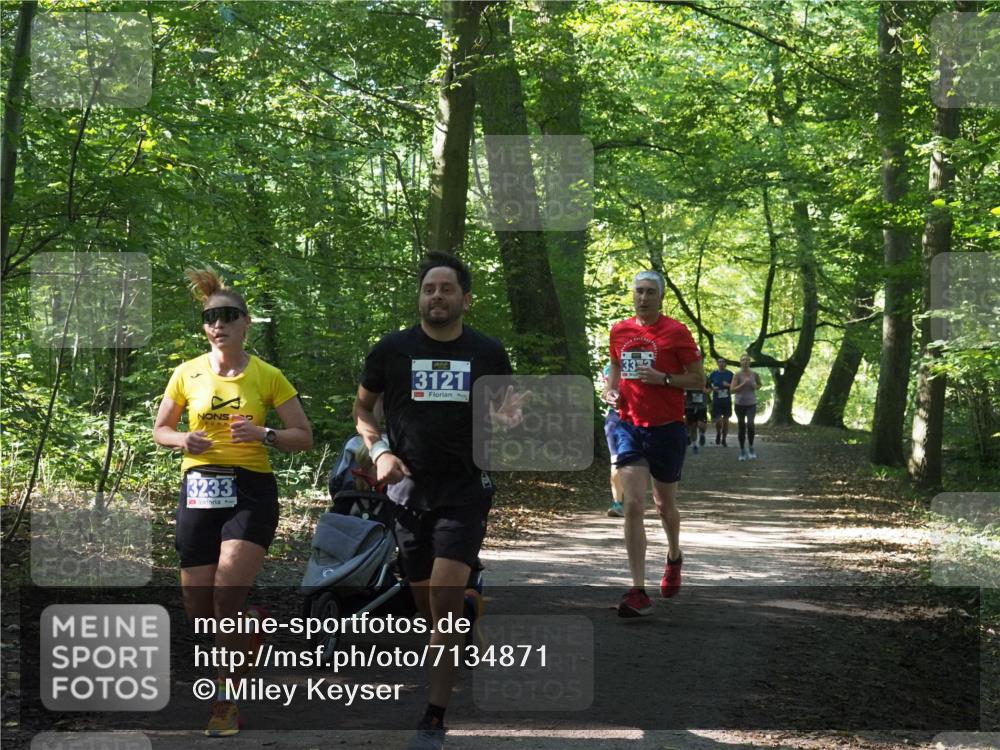 22.09.2024 - 32. Volkslauf durch das schöne Alstertal Miley Keyser http://msf.ph/oto/7134871 22.09.2024 10:52:10 Laufen 3121, 3233 meine-sportfotos.de