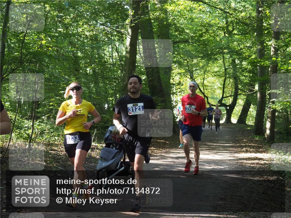 22.09.2024 - 32. Volkslauf durch das schöne Alstertal Miley Keyser http://msf.ph/oto/7134872 22.09.2024 10:52:10 Laufen 3233, 3121 meine-sportfotos.de