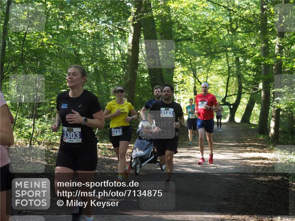 22.09.2024 - 32. Volkslauf durch das schöne Alstertal Miley Keyser http://msf.ph/oto/7134875 22.09.2024 10:52:09 Laufen 3303, 3233, 3121, 123, 336 meine-sportfotos.de