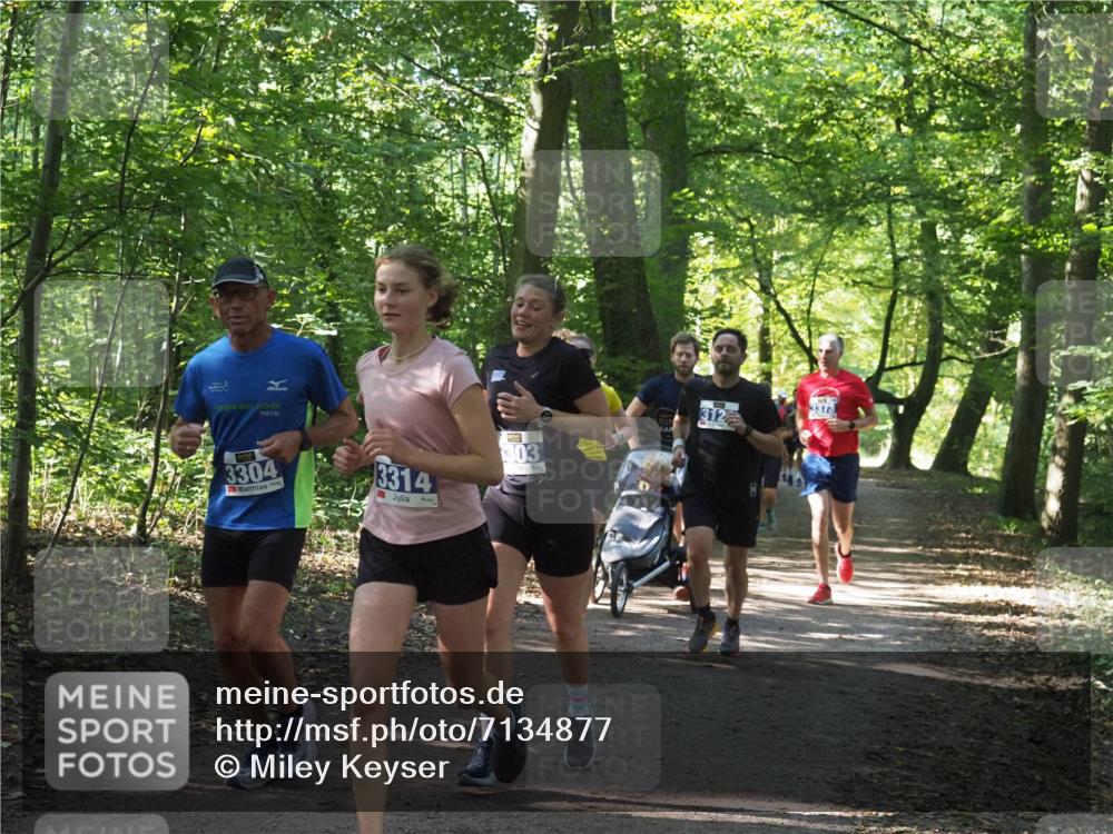 22.09.2024 - 32. Volkslauf durch das schöne Alstertal Miley Keyser http://msf.ph/oto/7134877 22.09.2024 10:52:09 Laufen 11, 2016, 3304, 3314, 303, 3373, 312 meine-sportfotos.de