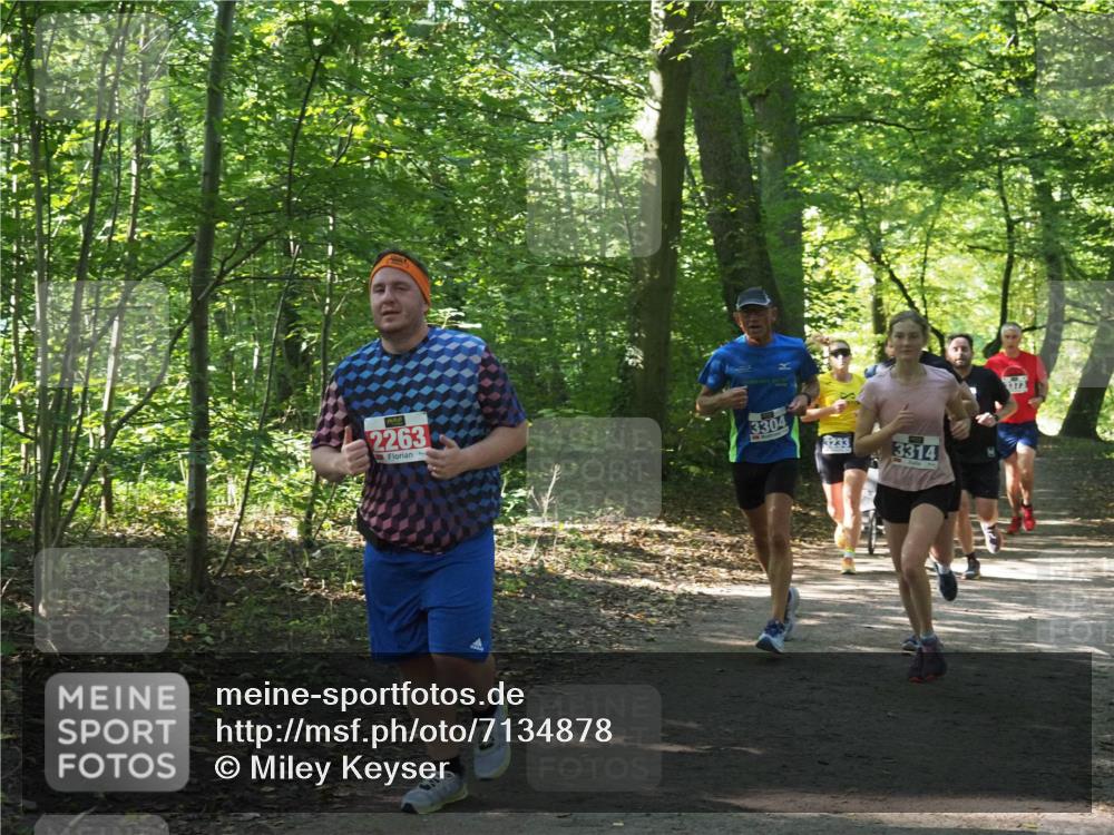 22.09.2024 - 32. Volkslauf durch das schöne Alstertal Miley Keyser http://msf.ph/oto/7134878 22.09.2024 10:52:08 Laufen 2263, 3304, 3233, 3314, 3373 meine-sportfotos.de