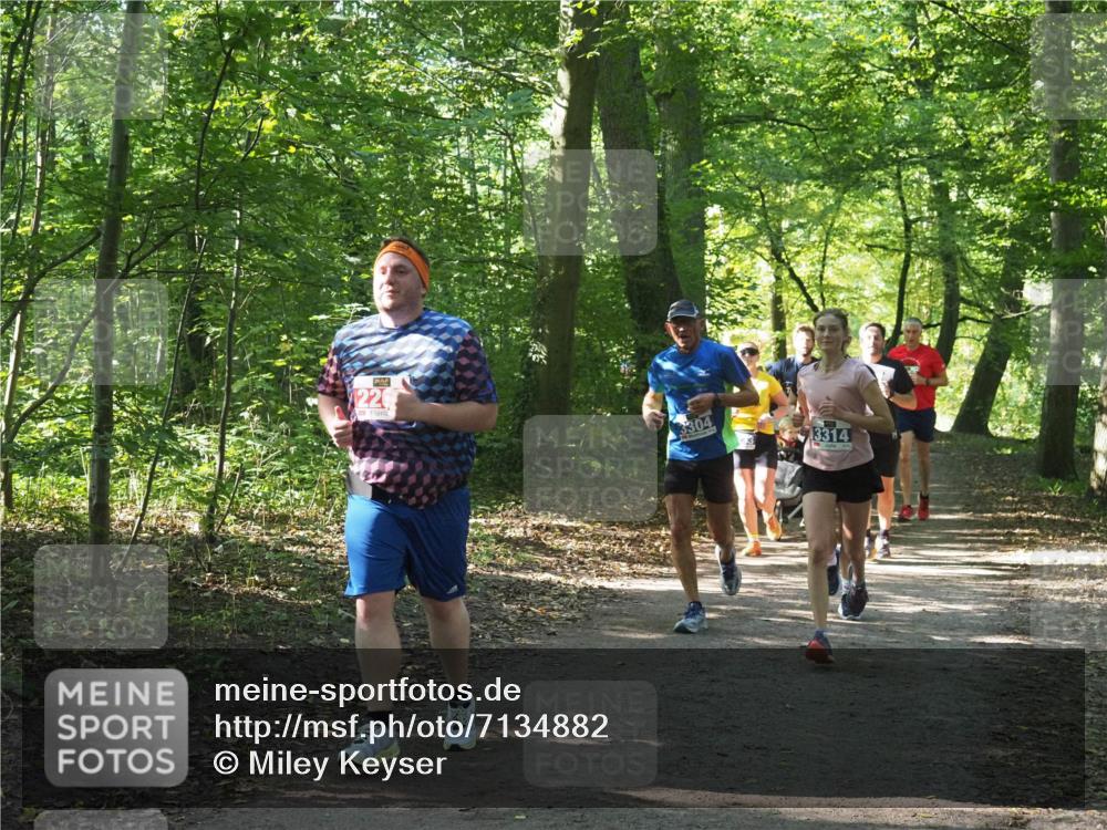 22.09.2024 - 32. Volkslauf durch das schöne Alstertal Miley Keyser http://msf.ph/oto/7134882 22.09.2024 10:52:07 Laufen 22, 3304, 3314 meine-sportfotos.de