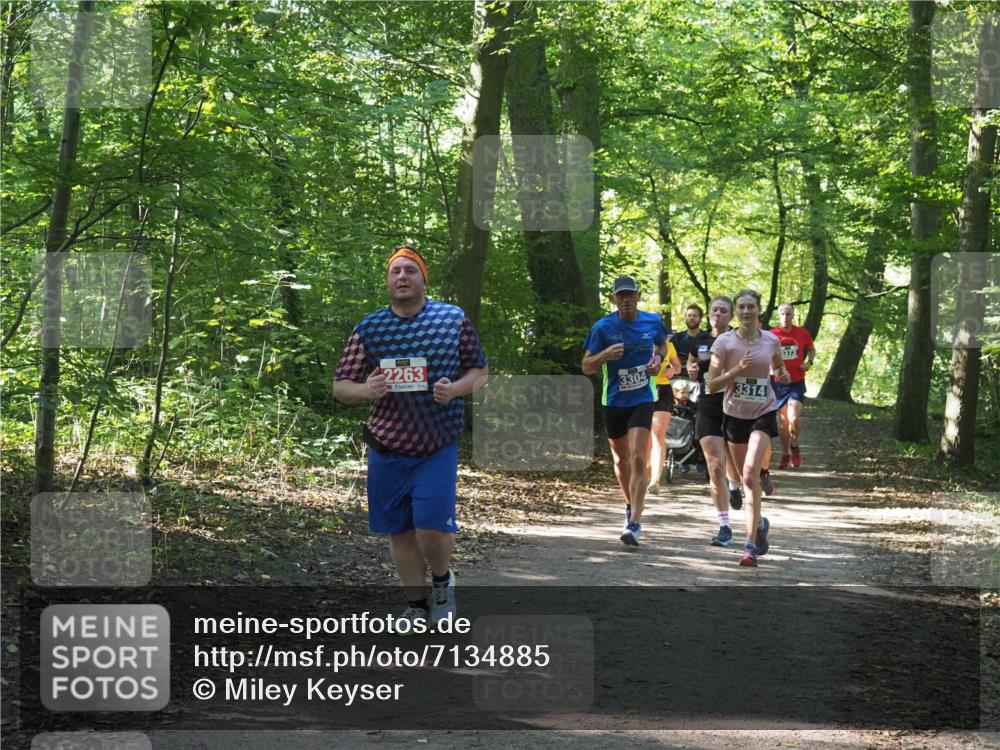 22.09.2024 - 32. Volkslauf durch das schöne Alstertal Miley Keyser http://msf.ph/oto/7134885 22.09.2024 10:52:07 Laufen 2263, 8304, 3314 meine-sportfotos.de