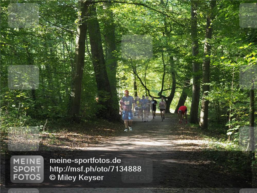22.09.2024 - 32. Volkslauf durch das schöne Alstertal Miley Keyser http://msf.ph/oto/7134888 22.09.2024 10:52:01 Laufen  meine-sportfotos.de