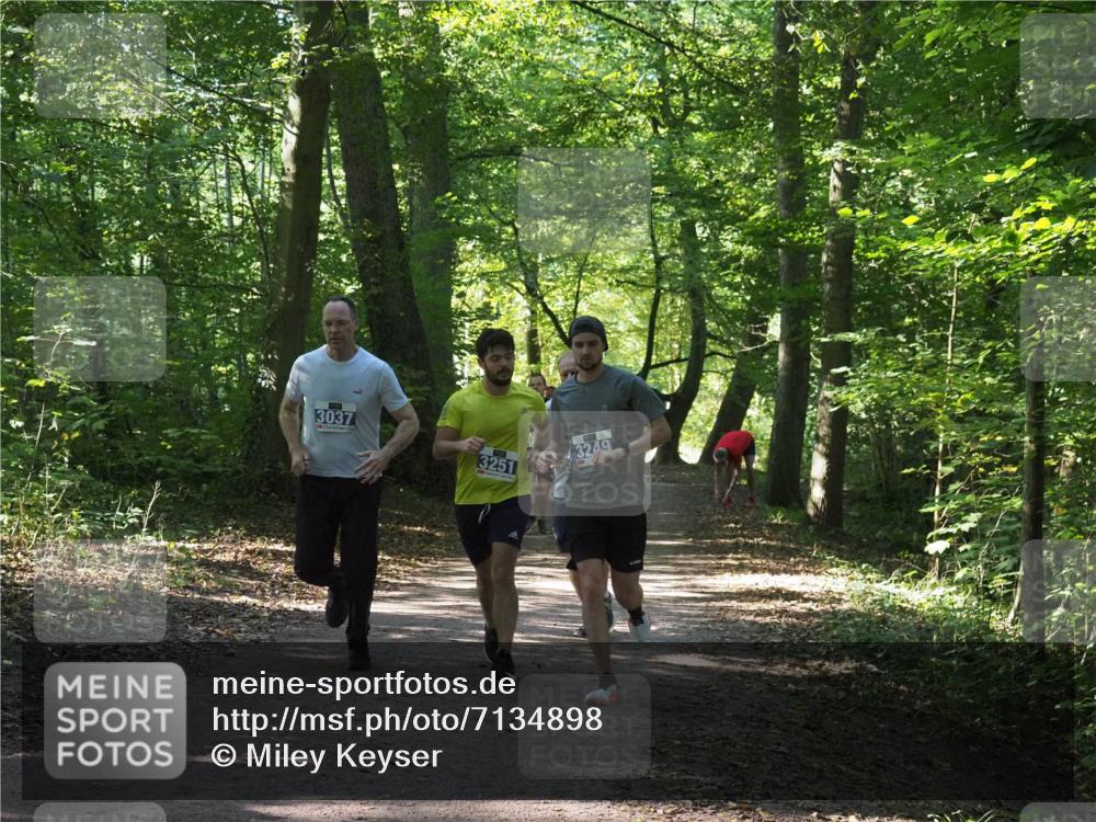 22.09.2024 - 32. Volkslauf durch das schöne Alstertal Miley Keyser http://msf.ph/oto/7134898 22.09.2024 10:51:55 Laufen 3037, 3251, 3249 meine-sportfotos.de