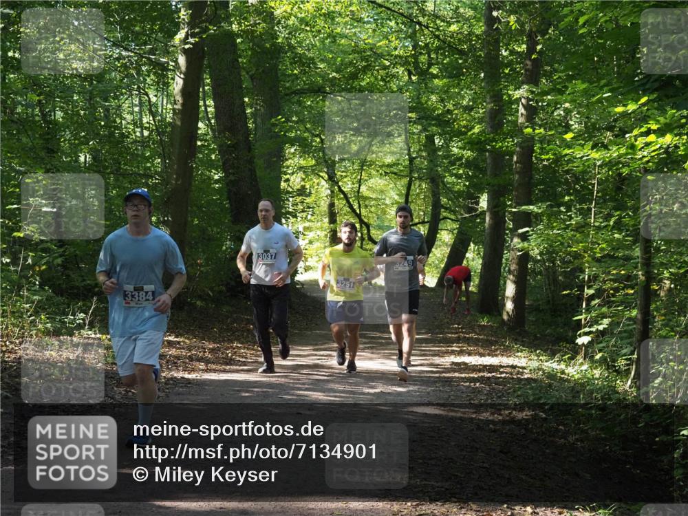 22.09.2024 - 32. Volkslauf durch das schöne Alstertal Miley Keyser http://msf.ph/oto/7134901 22.09.2024 10:51:54 Laufen 3384, 3037, 3251, 3249 meine-sportfotos.de