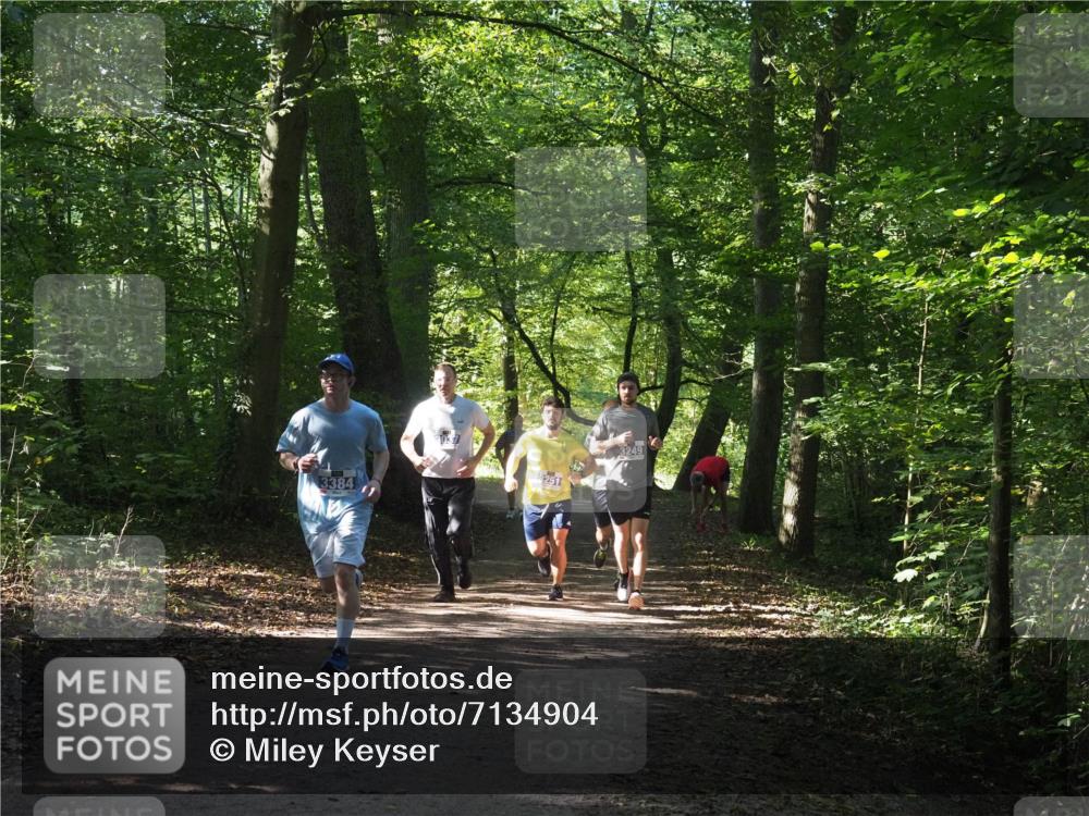 22.09.2024 - 32. Volkslauf durch das schöne Alstertal Miley Keyser http://msf.ph/oto/7134904 22.09.2024 10:51:53 Laufen 3384, 251, 3249 meine-sportfotos.de