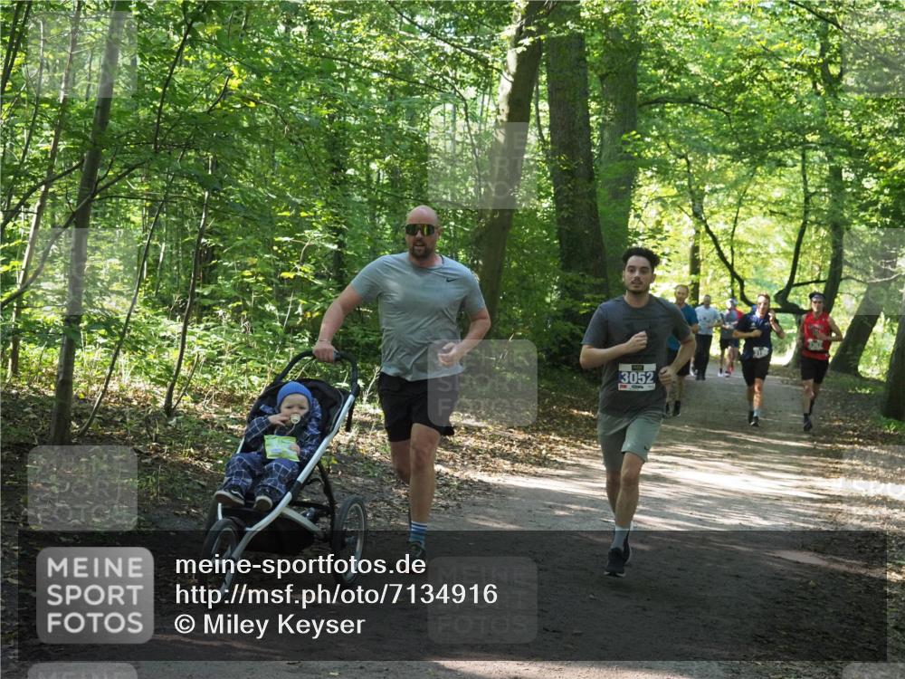 22.09.2024 - 32. Volkslauf durch das schöne Alstertal Miley Keyser http://msf.ph/oto/7134916 22.09.2024 10:51:46 Laufen 3052 meine-sportfotos.de
