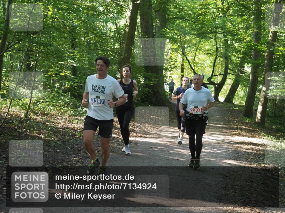 22.09.2024 - 32. Volkslauf durch das schöne Alstertal Miley Keyser http://msf.ph/oto/7134924 22.09.2024 10:51:38 Laufen 3397, 2303 meine-sportfotos.de