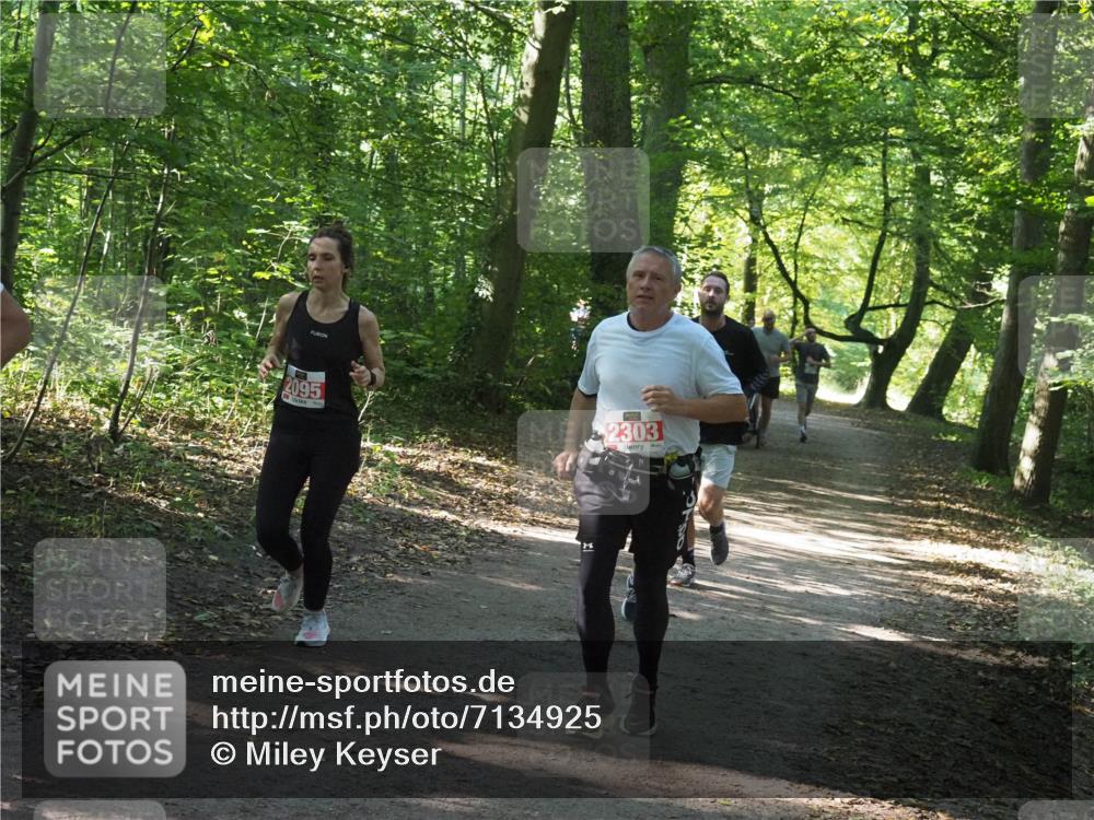 22.09.2024 - 32. Volkslauf durch das schöne Alstertal Miley Keyser http://msf.ph/oto/7134925 22.09.2024 10:51:39 Laufen 2095, 2303 meine-sportfotos.de