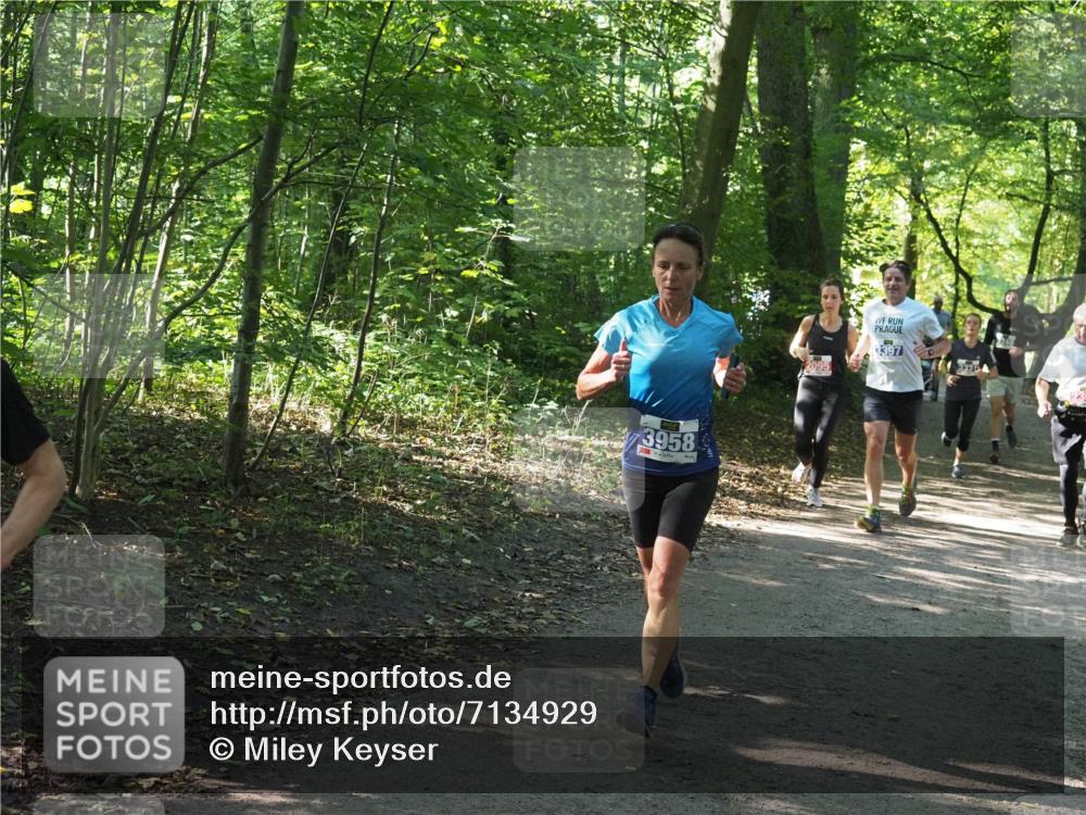 22.09.2024 - 32. Volkslauf durch das schöne Alstertal Miley Keyser http://msf.ph/oto/7134929 22.09.2024 10:51:36 Laufen 3958, 3397 meine-sportfotos.de