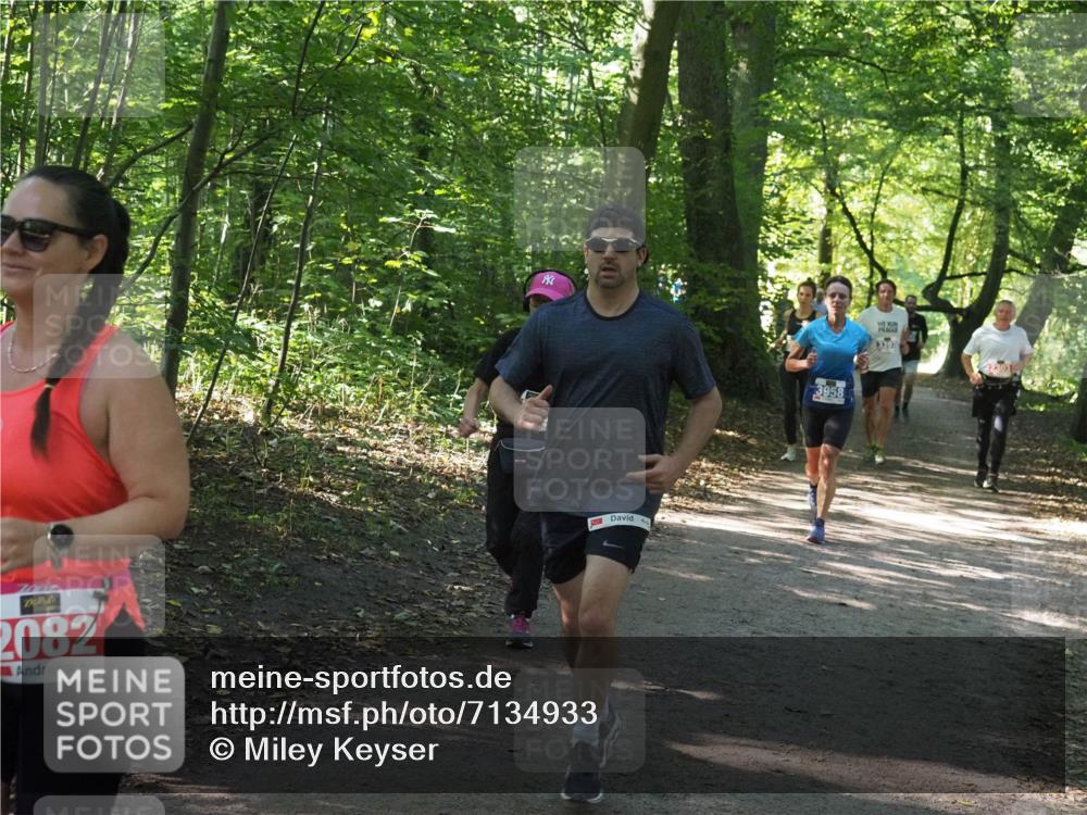 22.09.2024 - 32. Volkslauf durch das schöne Alstertal Miley Keyser http://msf.ph/oto/7134933 22.09.2024 10:51:34 Laufen 2082, 3958, 3397 meine-sportfotos.de