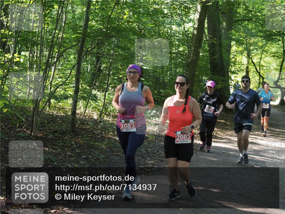 22.09.2024 - 32. Volkslauf durch das schöne Alstertal Miley Keyser http://msf.ph/oto/7134937 22.09.2024 10:51:33 Laufen 2083, 2082, 2520, 3958 meine-sportfotos.de