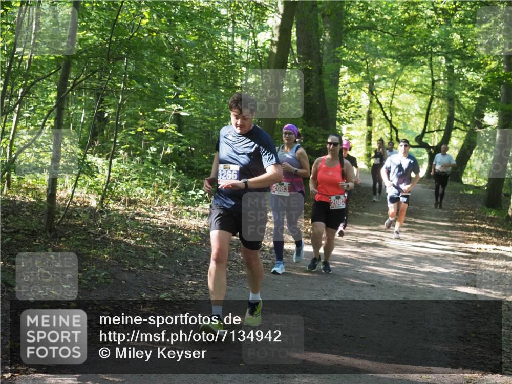 22.09.2024 - 32. Volkslauf durch das schöne Alstertal Miley Keyser http://msf.ph/oto/7134942 22.09.2024 10:51:31 Laufen 3266, 2083, 2082 meine-sportfotos.de