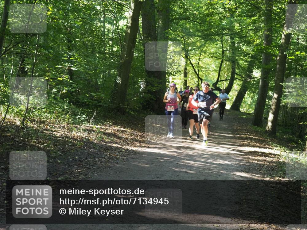 22.09.2024 - 32. Volkslauf durch das schöne Alstertal Miley Keyser http://msf.ph/oto/7134945 22.09.2024 10:51:28 Laufen 2083 meine-sportfotos.de