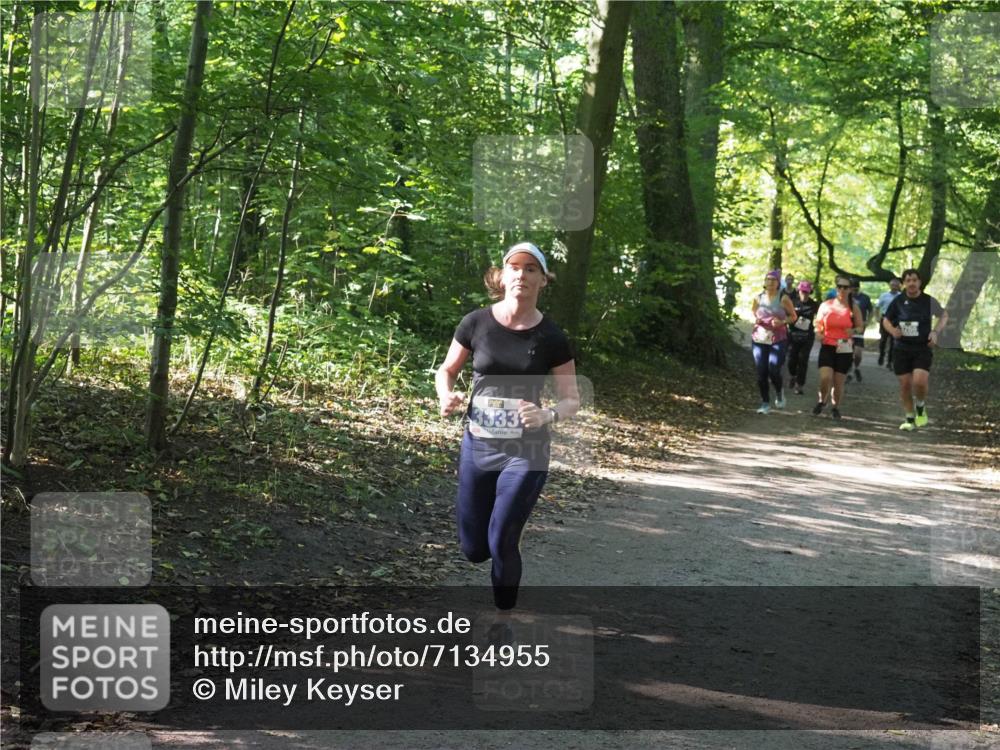 22.09.2024 - 32. Volkslauf durch das schöne Alstertal Miley Keyser http://msf.ph/oto/7134955 22.09.2024 10:51:27 Laufen 3333 meine-sportfotos.de