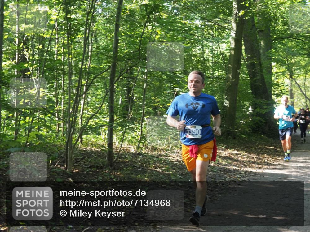 22.09.2024 - 32. Volkslauf durch das schöne Alstertal Miley Keyser http://msf.ph/oto/7134968 22.09.2024 10:51:21 Laufen 3390 meine-sportfotos.de