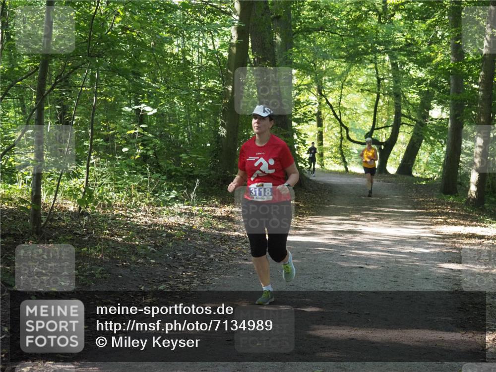 22.09.2024 - 32. Volkslauf durch das schöne Alstertal Miley Keyser http://msf.ph/oto/7134989 22.09.2024 10:51:07 Laufen 3118 meine-sportfotos.de
