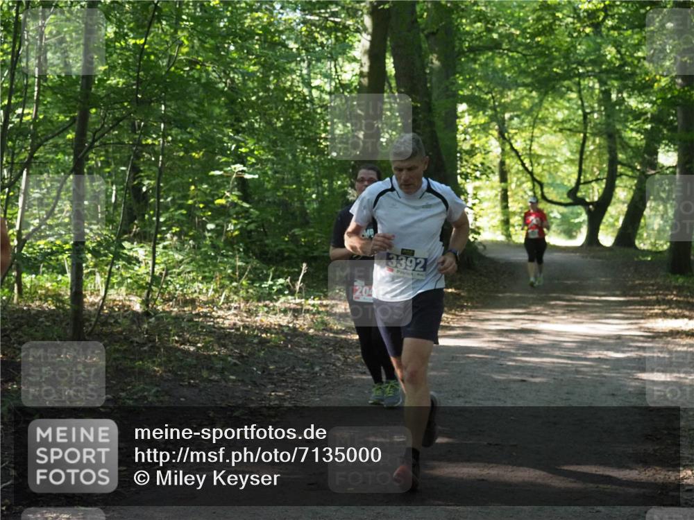 22.09.2024 - 32. Volkslauf durch das schöne Alstertal Miley Keyser http://msf.ph/oto/7135000 22.09.2024 10:51:02 Laufen 204, 3392 meine-sportfotos.de
