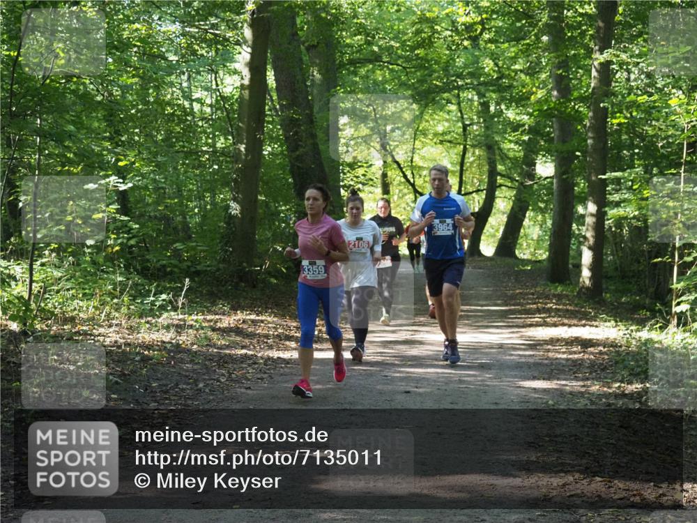 22.09.2024 - 32. Volkslauf durch das schöne Alstertal Miley Keyser http://msf.ph/oto/7135011 22.09.2024 10:50:59 Laufen 3359, 2106, 3964 meine-sportfotos.de
