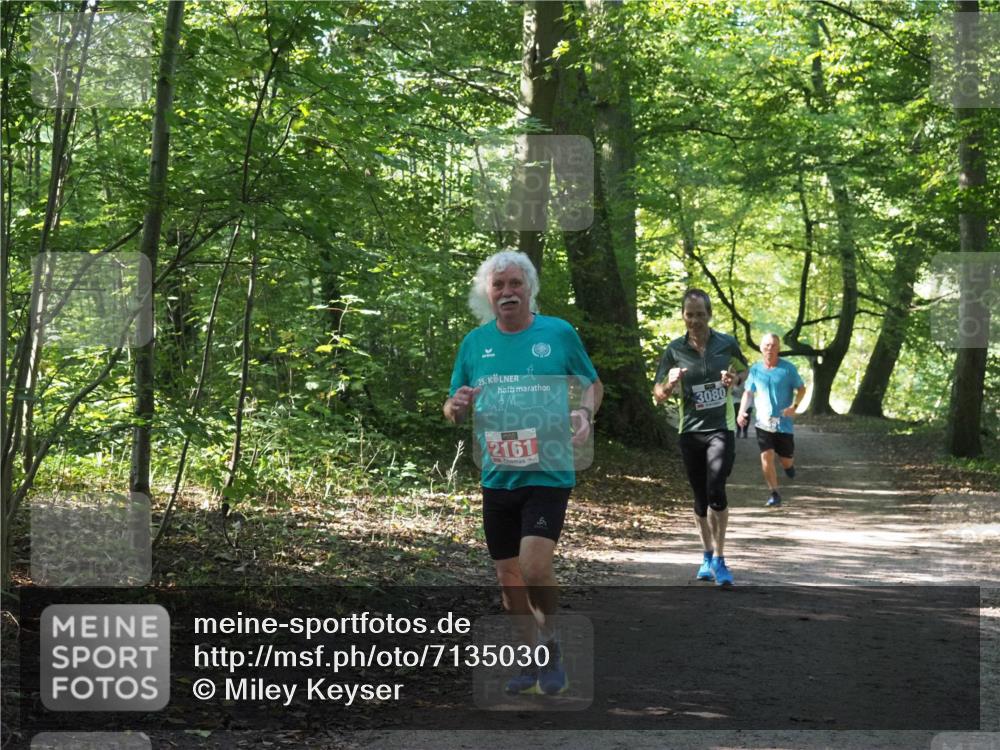 22.09.2024 - 32. Volkslauf durch das schöne Alstertal Miley Keyser http://msf.ph/oto/7135030 22.09.2024 10:50:49 Laufen 25, 3080, 2161 meine-sportfotos.de
