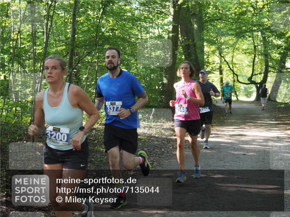 22.09.2024 - 32. Volkslauf durch das schöne Alstertal Miley Keyser http://msf.ph/oto/7135044 22.09.2024 10:50:40 Laufen 3200, 3377, 3146, 3342 meine-sportfotos.de