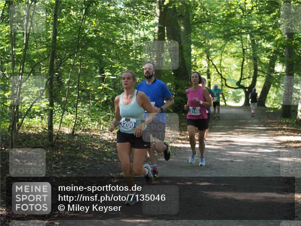 22.09.2024 - 32. Volkslauf durch das schöne Alstertal Miley Keyser http://msf.ph/oto/7135046 22.09.2024 10:50:39 Laufen 3200, 3146 meine-sportfotos.de