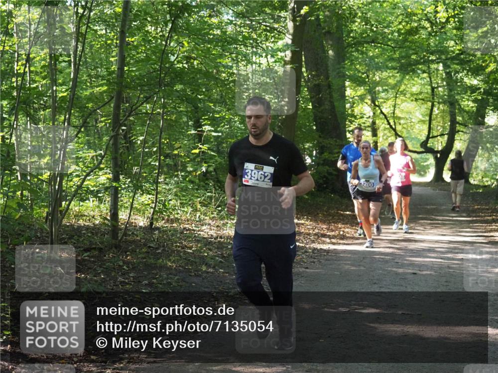 22.09.2024 - 32. Volkslauf durch das schöne Alstertal Miley Keyser http://msf.ph/oto/7135054 22.09.2024 10:50:37 Laufen 3962, 3200 meine-sportfotos.de