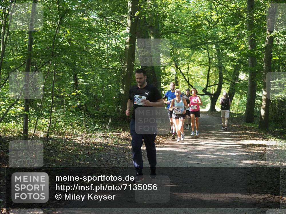 22.09.2024 - 32. Volkslauf durch das schöne Alstertal Miley Keyser http://msf.ph/oto/7135056 22.09.2024 10:50:36 Laufen 396, 3200, 3146 meine-sportfotos.de