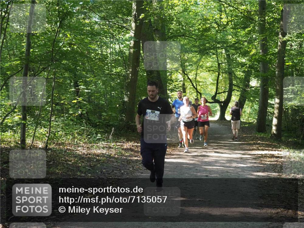 22.09.2024 - 32. Volkslauf durch das schöne Alstertal Miley Keyser http://msf.ph/oto/7135057 22.09.2024 10:50:36 Laufen 3962 meine-sportfotos.de