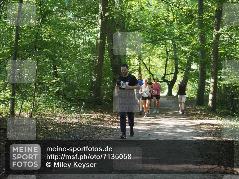 22.09.2024 - 32. Volkslauf durch das schöne Alstertal Miley Keyser http://msf.ph/oto/7135058 22.09.2024 10:50:36 Laufen 396, 3200, 3146 meine-sportfotos.de