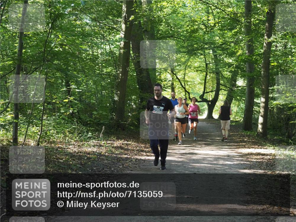 22.09.2024 - 32. Volkslauf durch das schöne Alstertal Miley Keyser http://msf.ph/oto/7135059 22.09.2024 10:50:36 Laufen 3962, 3200, 3146 meine-sportfotos.de