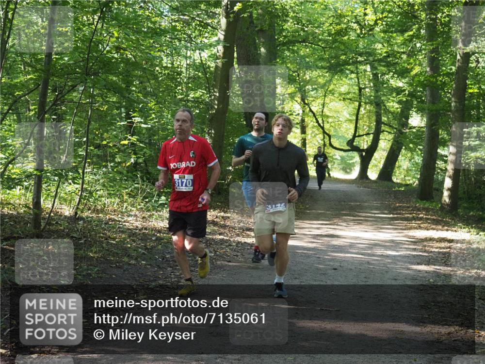 22.09.2024 - 32. Volkslauf durch das schöne Alstertal Miley Keyser http://msf.ph/oto/7135061 22.09.2024 10:50:28 Laufen 3170 meine-sportfotos.de