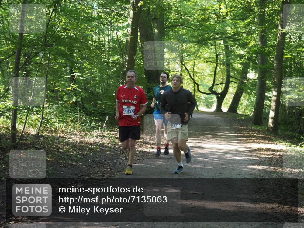 22.09.2024 - 32. Volkslauf durch das schöne Alstertal Miley Keyser http://msf.ph/oto/7135063 22.09.2024 10:50:27 Laufen 3170, 3144 meine-sportfotos.de