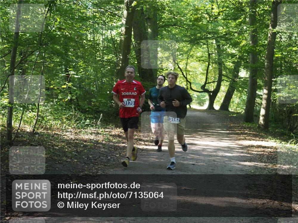 22.09.2024 - 32. Volkslauf durch das schöne Alstertal Miley Keyser http://msf.ph/oto/7135064 22.09.2024 10:50:27 Laufen 3170, 3142 meine-sportfotos.de