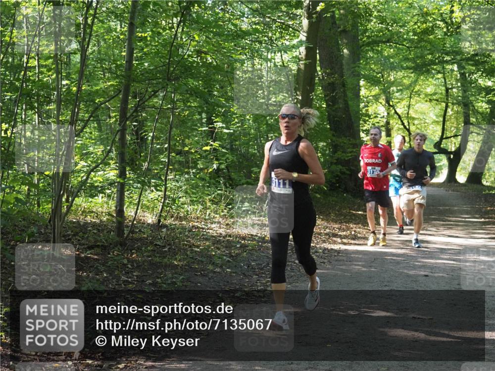 22.09.2024 - 32. Volkslauf durch das schöne Alstertal Miley Keyser http://msf.ph/oto/7135067 22.09.2024 10:50:26 Laufen 3178 meine-sportfotos.de