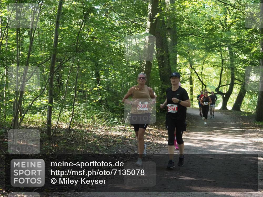 22.09.2024 - 32. Volkslauf durch das schöne Alstertal Miley Keyser http://msf.ph/oto/7135078 22.09.2024 10:50:21 Laufen 2013, 2471 meine-sportfotos.de
