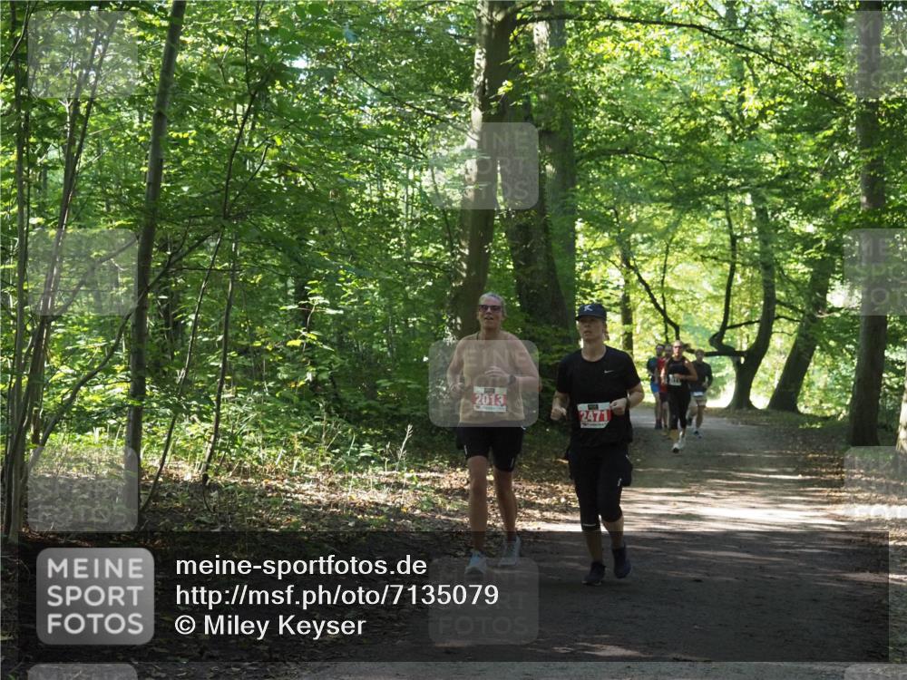22.09.2024 - 32. Volkslauf durch das schöne Alstertal Miley Keyser http://msf.ph/oto/7135079 22.09.2024 10:50:21 Laufen 2013, 2471 meine-sportfotos.de