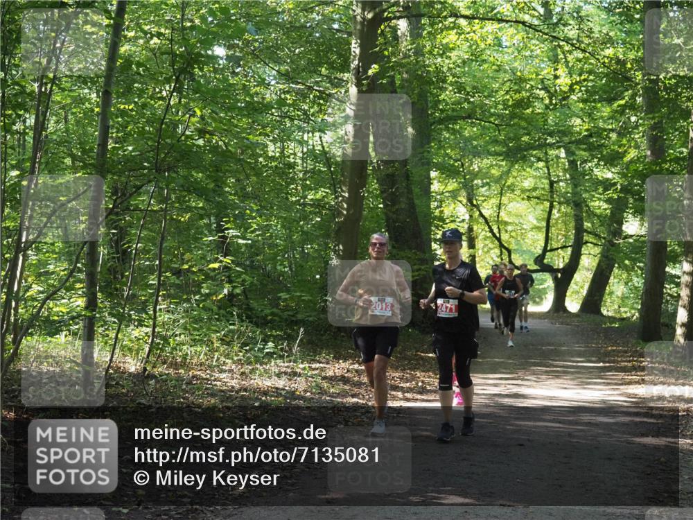 22.09.2024 - 32. Volkslauf durch das schöne Alstertal Miley Keyser http://msf.ph/oto/7135081 22.09.2024 10:50:20 Laufen 2013, 2471 meine-sportfotos.de