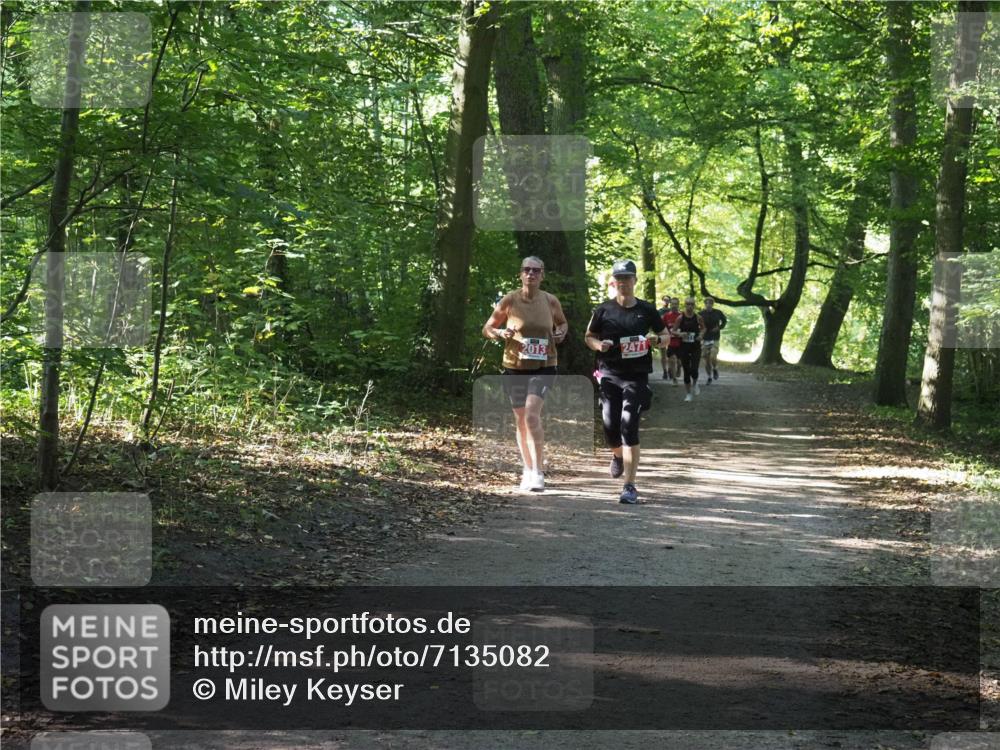 22.09.2024 - 32. Volkslauf durch das schöne Alstertal Miley Keyser http://msf.ph/oto/7135082 22.09.2024 10:50:20 Laufen 2013, 2471 meine-sportfotos.de
