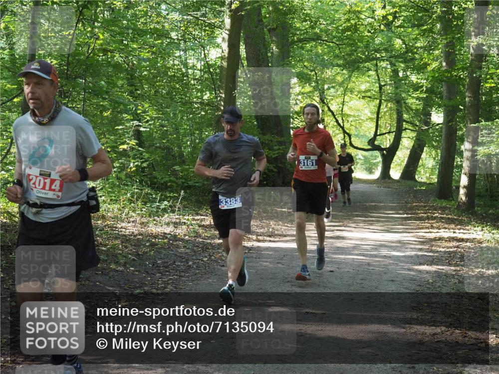 22.09.2024 - 32. Volkslauf durch das schöne Alstertal Miley Keyser http://msf.ph/oto/7135094 22.09.2024 10:50:15 Laufen 2014, 3383, 13161 meine-sportfotos.de