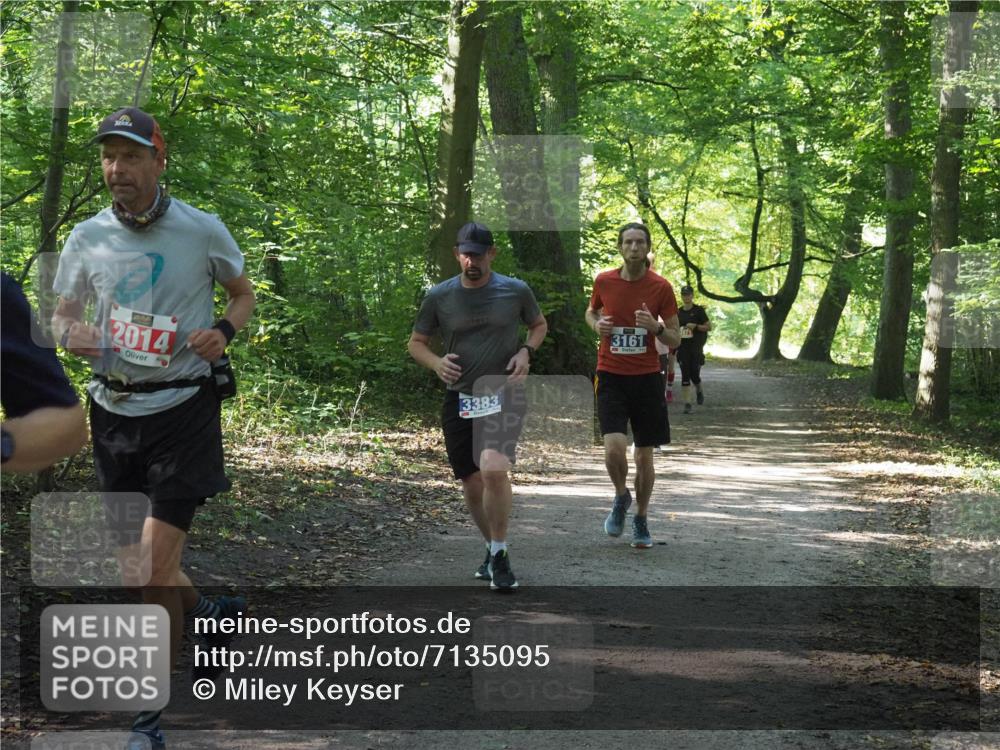22.09.2024 - 32. Volkslauf durch das schöne Alstertal Miley Keyser http://msf.ph/oto/7135095 22.09.2024 10:50:15 Laufen 2014, 3383, 3161, 471 meine-sportfotos.de