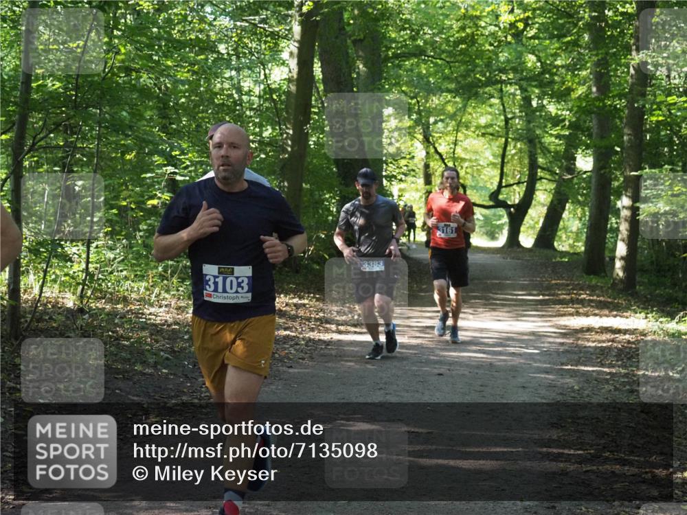 22.09.2024 - 32. Volkslauf durch das schöne Alstertal Miley Keyser http://msf.ph/oto/7135098 22.09.2024 10:50:14 Laufen 3103, 3383, 3161 meine-sportfotos.de