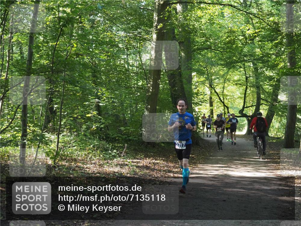 22.09.2024 - 32. Volkslauf durch das schöne Alstertal Miley Keyser http://msf.ph/oto/7135118 22.09.2024 10:50:04 Laufen 3317, 314 meine-sportfotos.de