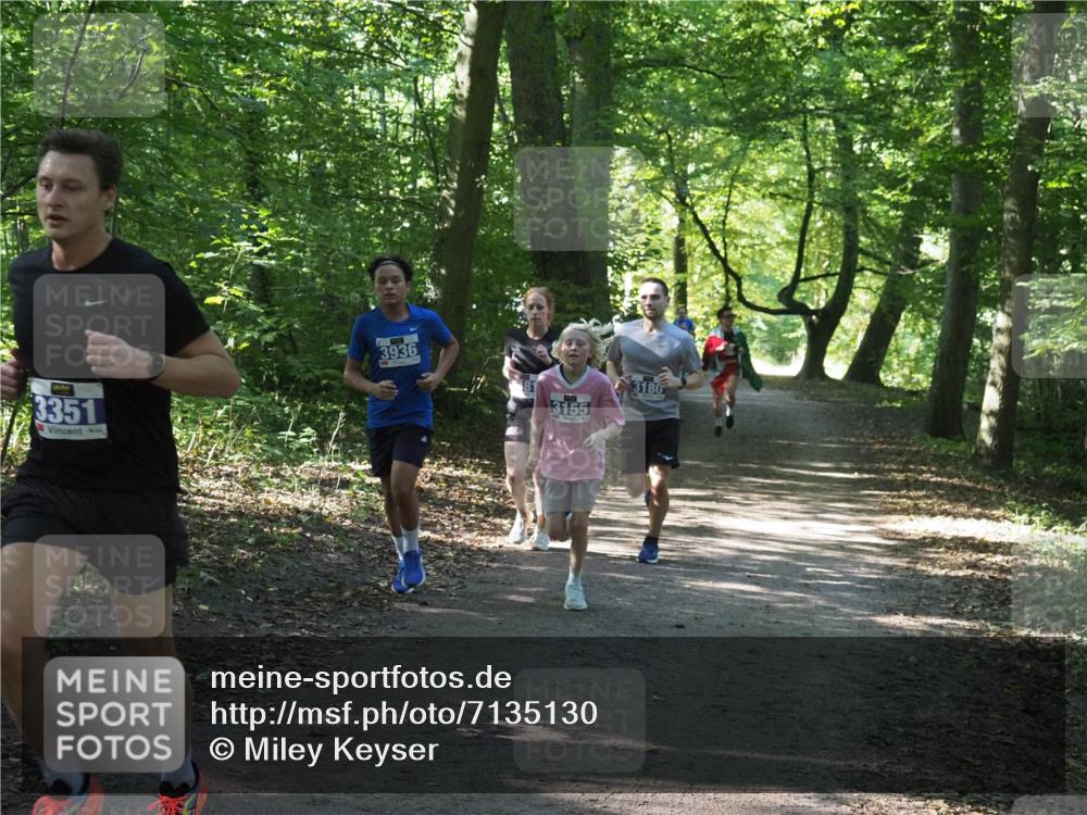 22.09.2024 - 32. Volkslauf durch das schöne Alstertal Miley Keyser http://msf.ph/oto/7135130 22.09.2024 10:49:55 Laufen 3351, 3936, 3155, 3180 meine-sportfotos.de