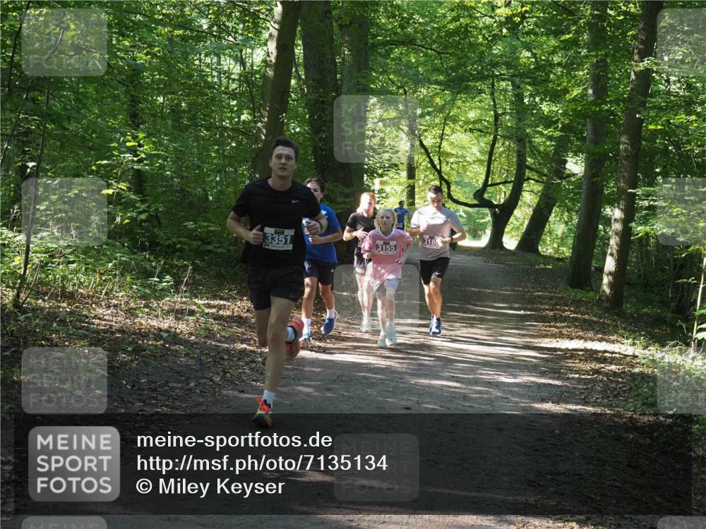 22.09.2024 - 32. Volkslauf durch das schöne Alstertal Miley Keyser http://msf.ph/oto/7135134 22.09.2024 10:49:54 Laufen 3351, 3180, 3155 meine-sportfotos.de